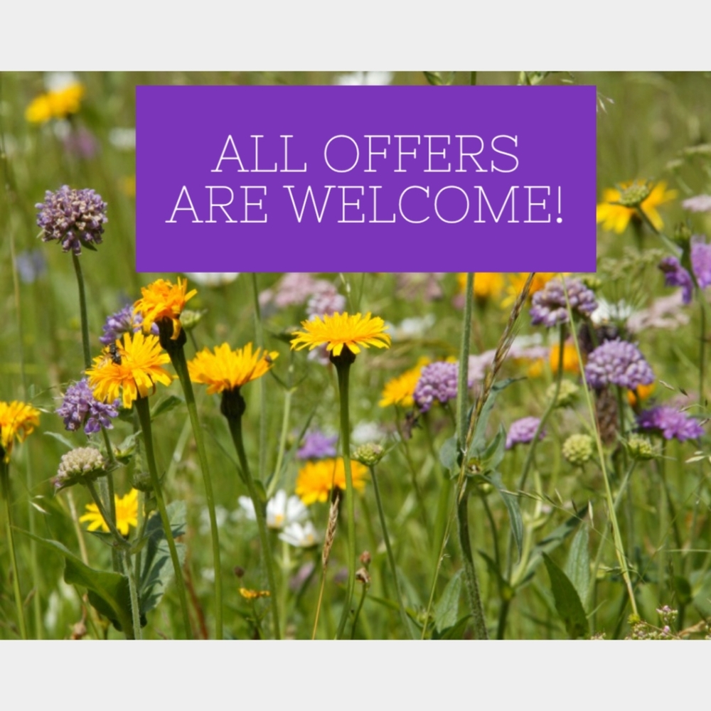 Make me an offer! All offers are welcome!!